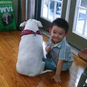 Meet your Posher, Apb